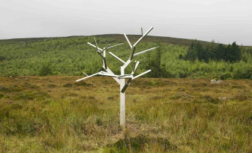 Antony Gormley's Tree for Waiting for Godot on an upland bog in the UNESCO Cuilcagh Lakelands Geopark Co. Fermanagh at the July 2019 Happy Days Enniskillen International Beckett Festival