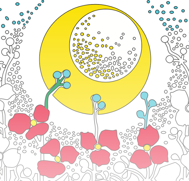 Color Our Collections book University of Dayton Libraries